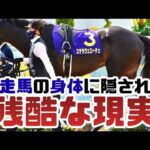 【競馬】なぜ最強の馬ほど突然消えるのか。競走馬の身体に隠された残酷な現実