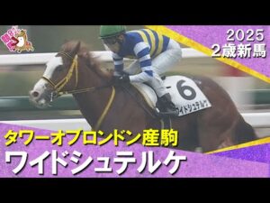 ワイドシュテルケが人気に応えてデビュー勝ち！藤岡佑介騎手「課題らしい課題が見当たりません」2025年12月21日(日)２歳新馬　阪神芝1200m　実況：石田一洋【カンテレ公式】