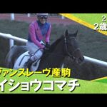 メイショウコマチが突き抜けデビュー勝ち！太宰啓介騎手「外に出してからの反応が良かった」2025年12月20日(土)２歳新馬　阪神ダート1800m　実況：石田一洋【カンテレ公式】