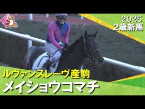 メイショウコマチが突き抜けデビュー勝ち！太宰啓介騎手「外に出してからの反応が良かった」2025年12月20日(土)２歳新馬　阪神ダート1800m　実況：石田一洋【カンテレ公式】