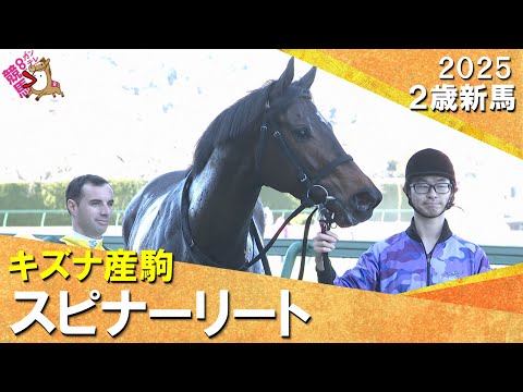 ８番人気のスピナーリートが逃げ切ってデビュー勝ち！ジェルー騎手JRA初勝利「スッといい位置を取れた」2025年12月20日(土)２歳新馬　阪神芝1600m　実況：石田一洋【カンテレ公式】