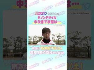 有馬記念 GⅠ トレセン直撃取材！　#競馬 #有馬記念 #ダノンデサイル #安田翔伍 調教師