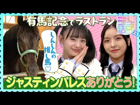 【うま活】しんしんの推し馬が有馬記念でラストラン！ジャスティンパレスありがとう！