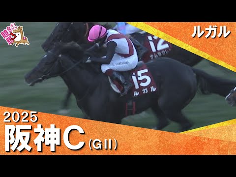 2025年 阪神カップ(ＧⅡ) ルガル　実況：川島壮雄【カンテレ公式】