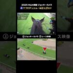 【ジョッキーカメラ×レース映像】2025年中山大障害 エコロデュエル 草野太郎騎手 #shorts |JRA公式