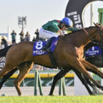 欧州競馬は血統も馬場も別物。凱旋門を日本が取れないように府中で走るわけがない←これww