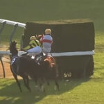 【チャンピオンズC】戸崎ピンチ！JCレース後落馬負傷でナルカミ鞍上未定か