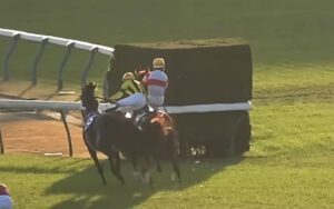 【チャンピオンズC】戸崎ピンチ！JCレース後落馬負傷でナルカミ鞍上未定か