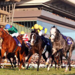 アドマイヤテラ、有馬記念参戦表明！