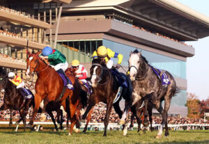 アドマイヤテラ、有馬記念参戦表明！