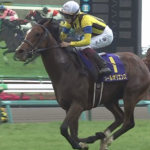 ソールオリエンス引退