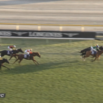 【ジャパンC】クロワデュノールさん4着