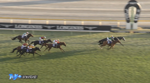 クロワデュノール有馬記念は見送り　斉藤崇師「また来年ですね」