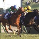 海外馬20年振り勝利www