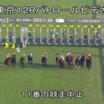 【ジャパンC】川田さんw w w w w