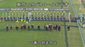 【ジャパンC】川田さんw w w w w