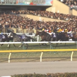 アドマイヤテラは有馬記念目標