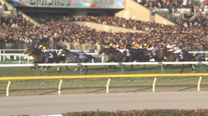 アドマイヤテラは有馬記念目標