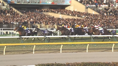 アドマイヤテラは有馬記念目標