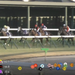 今回のJCで大逃げしたセイウンハーデスの評価