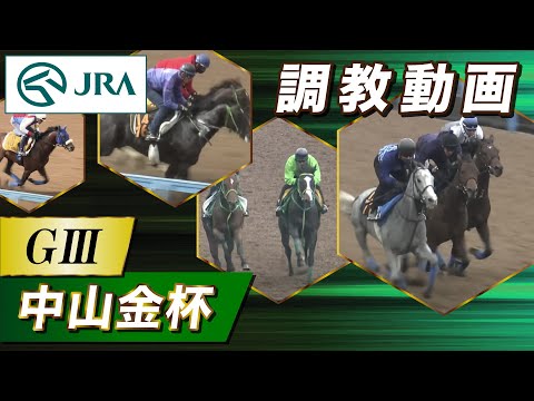 【調教動画】2026年 中山金杯｜JRA公式
