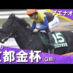 2026年京都金杯(ＧⅢ) ブエナオンダ　実況：川島壮雄　【カンテレ公式】