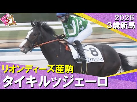 単勝170.6倍13番人気のタイキルッジェーロがデビュー勝ち！斎藤新騎手「センスで勝ち切ってくれました」2026年1月4日(日)３歳新馬　京都芝1800m　実況：川島壮雄【カンテレ公式】