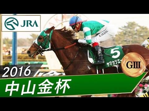 2016年 中山金杯（GⅢ） | ヤマカツエース | JRA公式