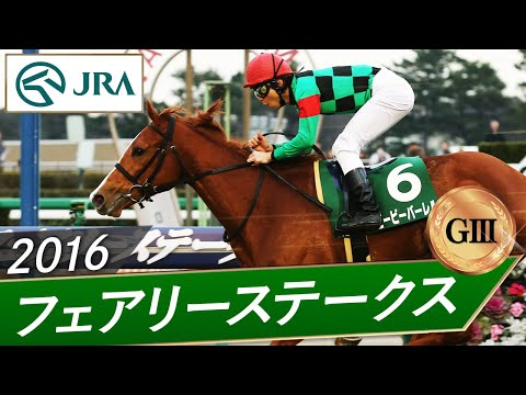 2016年 フェアリーステークス（GⅢ） | ビービーバーレル | JRA公式