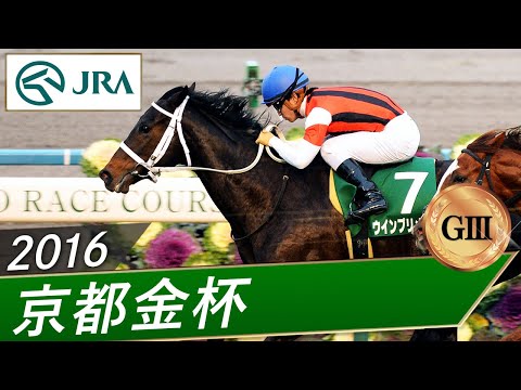 2016年 京都金杯（GⅢ） | ウインプリメーラ | JRA公式