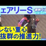 「潜在能力が高い!」ギリーズボール、サンアントワーヌ、ピエドゥラパン・・・競馬エイト・高橋賢司トラックマンの調教解説<フェアリーステークス(GⅢ)>