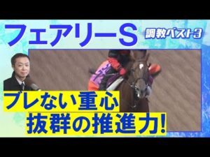 「潜在能力が高い!」ギリーズボール、サンアントワーヌ、ピエドゥラパン・・・競馬エイト・高橋賢司トラックマンの調教解説<フェアリーステークス(GⅢ)>