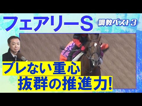 「潜在能力が高い!」ギリーズボール、サンアントワーヌ、ピエドゥラパン・・・競馬エイト・高橋賢司トラックマンの調教解説<フェアリーステークス(GⅢ)>