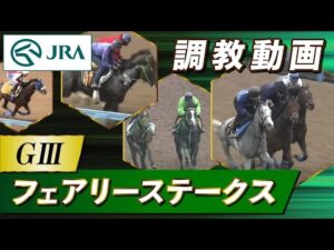 【調教動画】2026年 フェアリーステークス｜JRA公式
