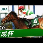 2016年 京成杯（GⅢ） | プロフェット | JRA公式