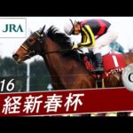 2016年 日経新春杯（GⅡ） | レーヴミストラル | JRA公式
