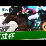 2015年 京成杯（GⅢ） | ベルーフ | JRA公式