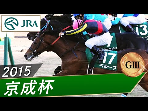 2015年 京成杯（GⅢ） | ベルーフ | JRA公式