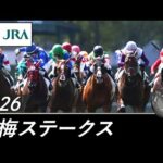 2026年 紅梅ステークス（L） | JRA公式
