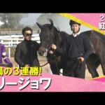 【リリージョワが無傷の３連勝！】2026年紅梅ステークス　実況：川島壮雄【カンテレ公式】