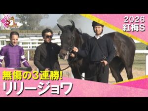 【リリージョワが無傷の３連勝！】2026年紅梅ステークス　実況：川島壮雄【カンテレ公式】