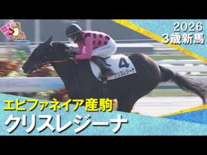 ファンディーナの子クリスレジーナが逃げて快勝！鮫島克駿騎手「無事にいってほしいですね」2026年1月18日(日)３歳新馬　京都芝2000m　実況：服部優陽【カンテレ公式】