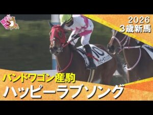 単勝４０倍超えの伏兵ハッピーラブソングがデビュー勝ち！高杉吏麒騎手「地力で踏ん張ってくれた」2026年1月11日(日)３歳新馬　京都ダート1800m　実況：服部優陽【カンテレ公式】