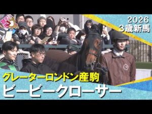 人気に応えてビービークローサーが完勝！坂井騎手「いい形で勝たせることができました」2026年1月10日(土)３歳新馬　京都ダート1400m　実況：服部優陽【カンテレ公式】