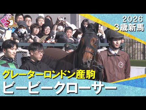 人気に応えてビービークローサーが完勝！坂井騎手「いい形で勝たせることができました」2026年1月10日(土)３歳新馬　京都ダート1400m　実況：服部優陽【カンテレ公式】