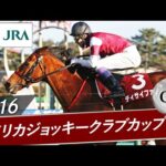2016年 アメリカジョッキークラブカップ(GⅡ) | ディサイファ | JRA公式