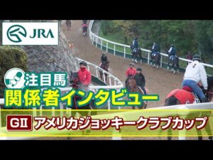 【注目馬 関係者インタビュー】2026年 アメリカジョッキークラブカップ｜JRA公式