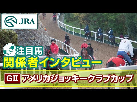 【注目馬 関係者インタビュー】2026年 アメリカジョッキークラブカップ｜JRA公式