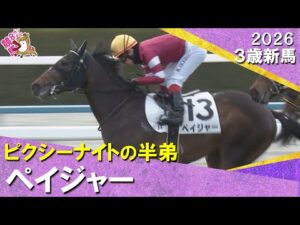福永祐一厩舎の3億3000万円馬ペイジャーがデビュー勝ち！福永調教師「粗削りの極み」2026年1月25日(日)３歳新馬　京16000m【カンテレ公式】