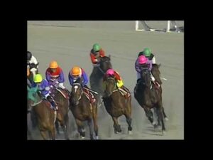 2004年 第41回 六甲盃(ホシオー)